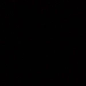 Meet your Posher, Patsy